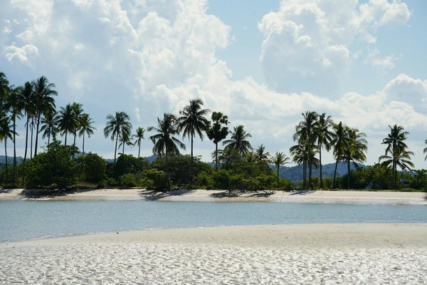 Comment organiser un voyage en train à travers les Rocheuses canadiennes?